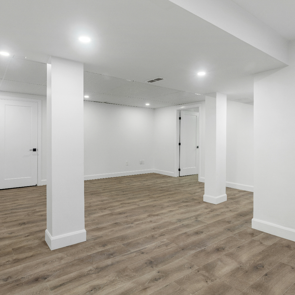 Basement Renovation